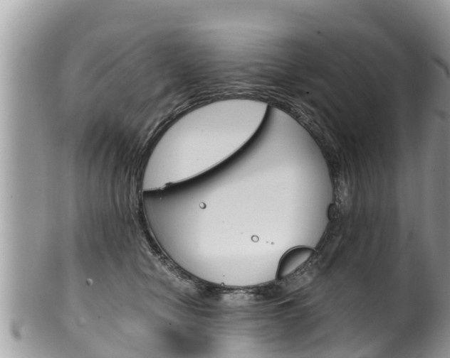 X0000100490470200806130759