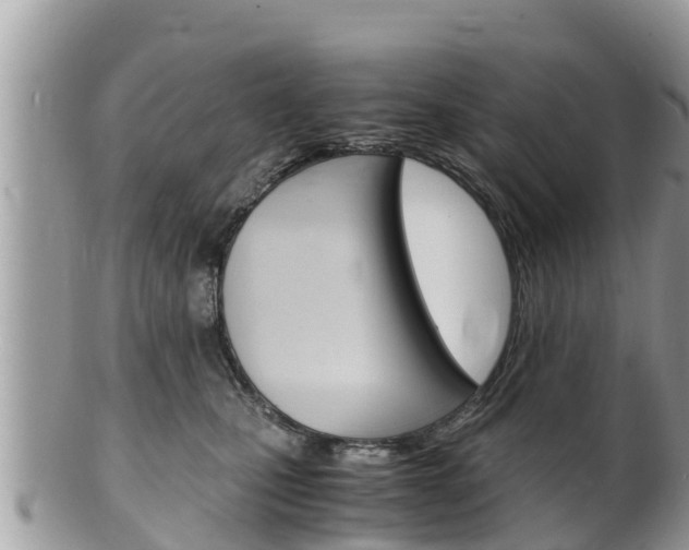 X0000100490471200806130759