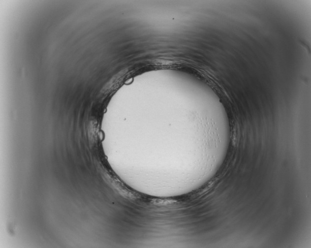 X0000100490476200806130759