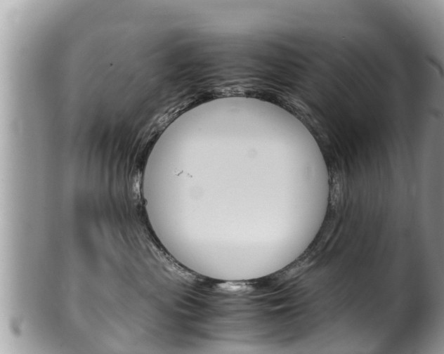 X0000100490477200806130759
