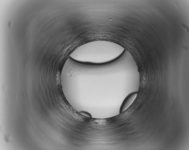 X0000100490478200806130759