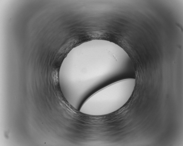 X0000100490479200806130759