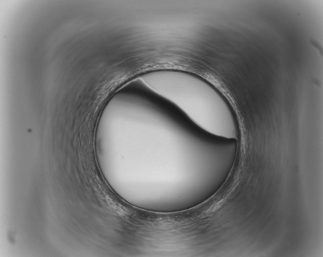 X0000100490481200806130759