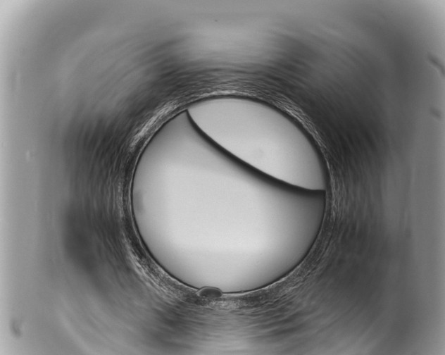 X0000100490482200806130759