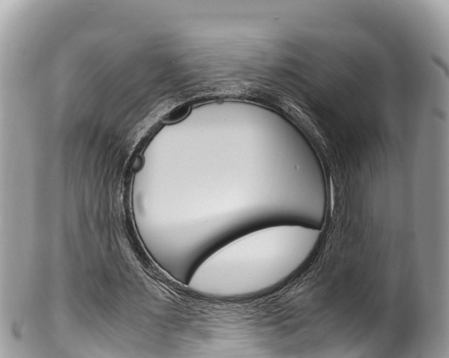 X0000100490483200806130759