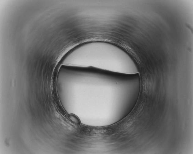 X0000100490484200806130759