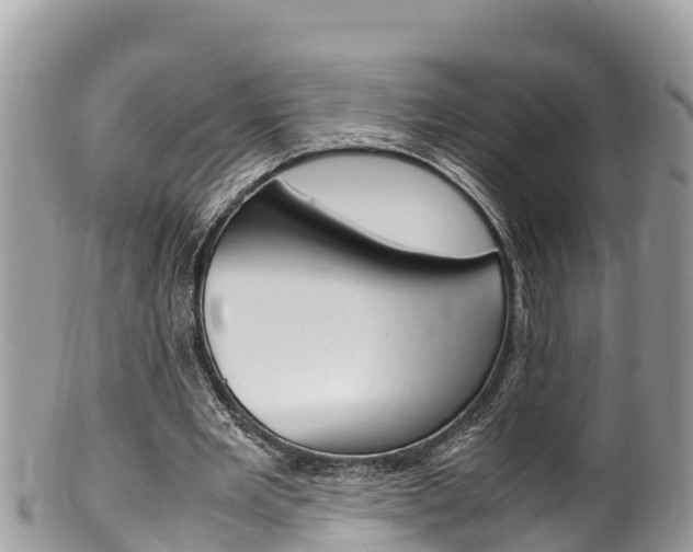 X0000100490485200806130759