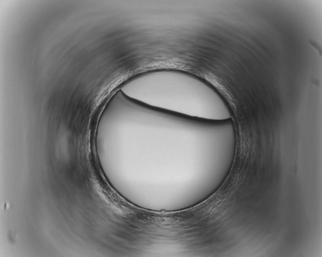 X0000100490486200806130759