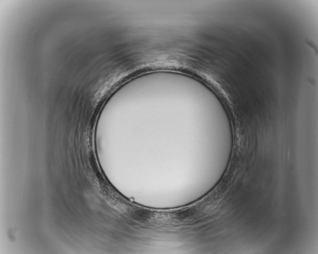 X0000100490487200806130759