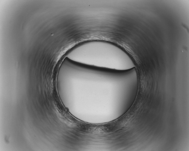 X0000100490488200806130759