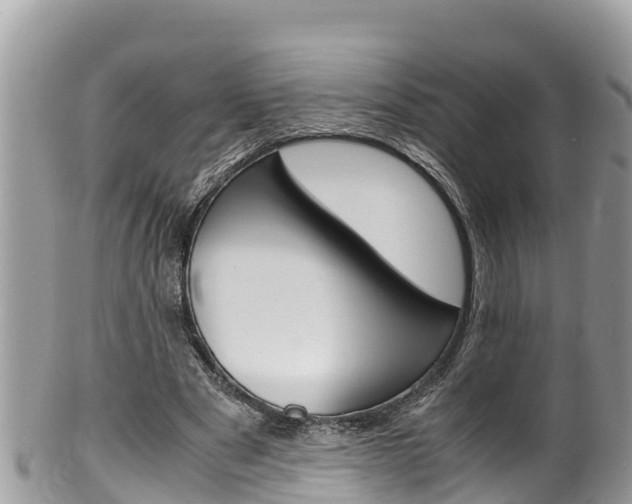 X0000100490489200806130759