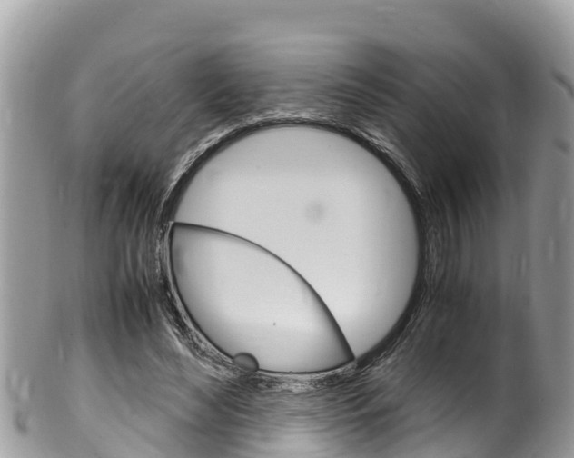 X0000100490492200806130759