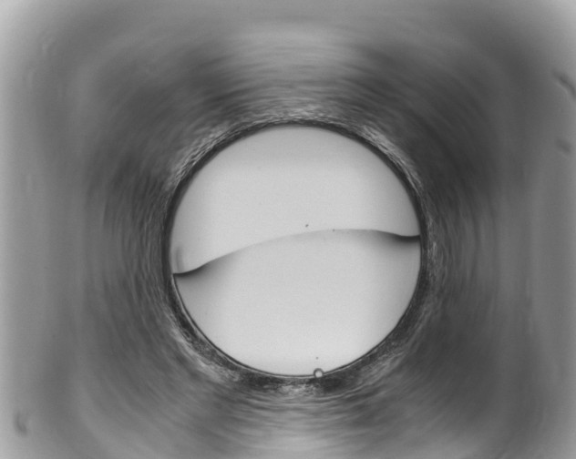 X0000100490493200806130759