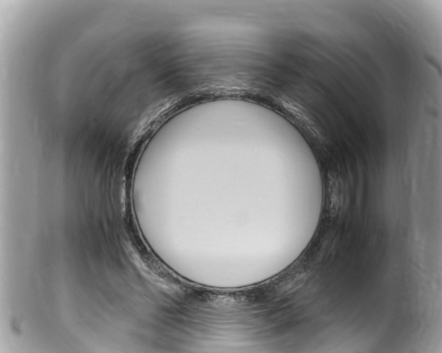 X0000100490494200806130759