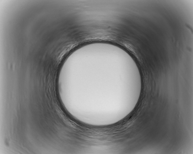 X0000100490495200806130759