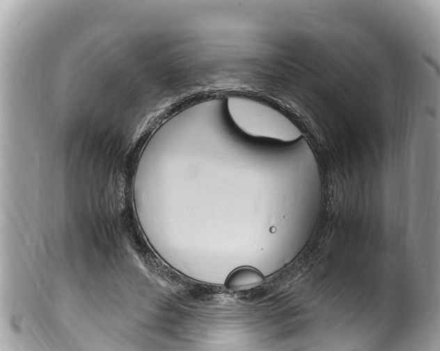 X0000100490496200806130759