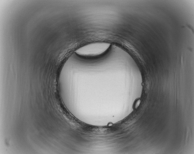 X0000100490497200806130759