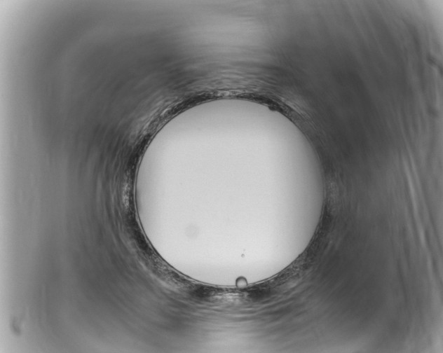 X0000100490499200806130759