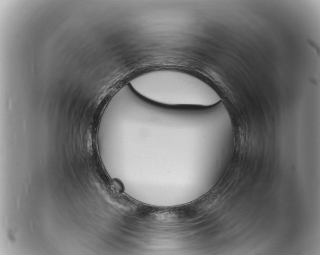 X0000100490500200806130759