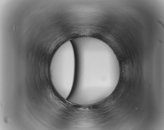 X0000100490502200806130758