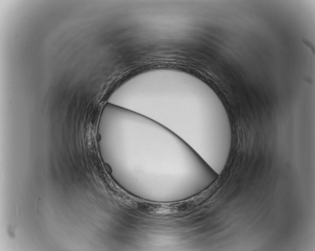X0000100490504200806130758