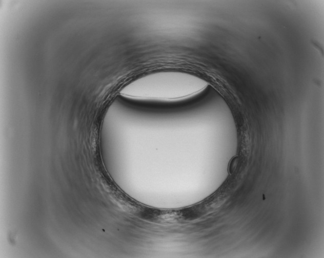 X0000100490505200806130758