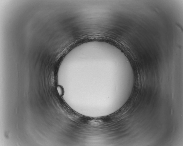 X0000100490508200806130758