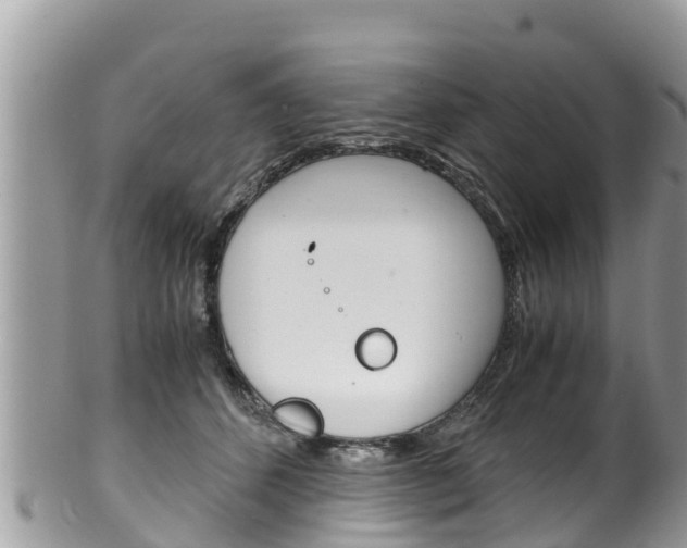 X0000100490512200806130758
