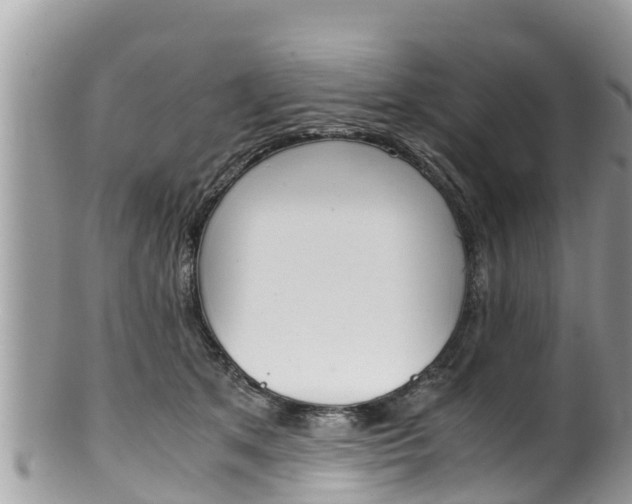 X0000100490513200806130758