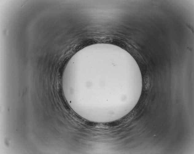 X0000100490515200806130758