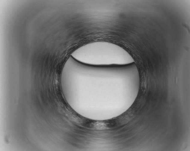 X0000100490518200806130758