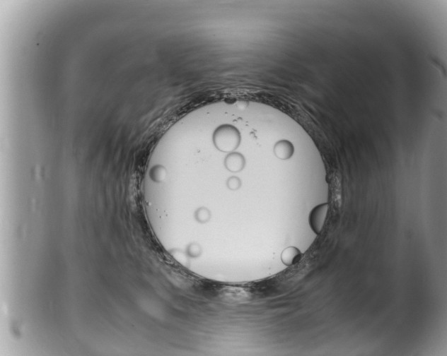 X0000100490519200806130758