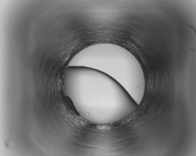 X0000100490520200806130758