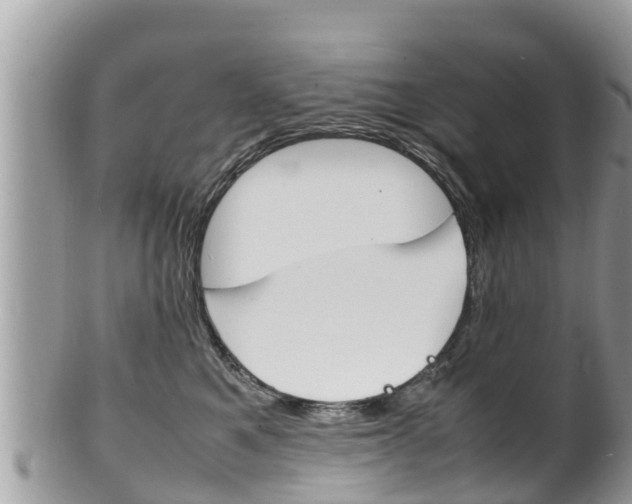 X0000100490521200806130758
