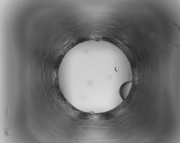 X0000100490523200806130758