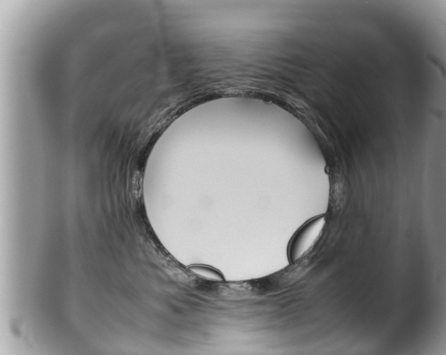 X0000100490525200806130758