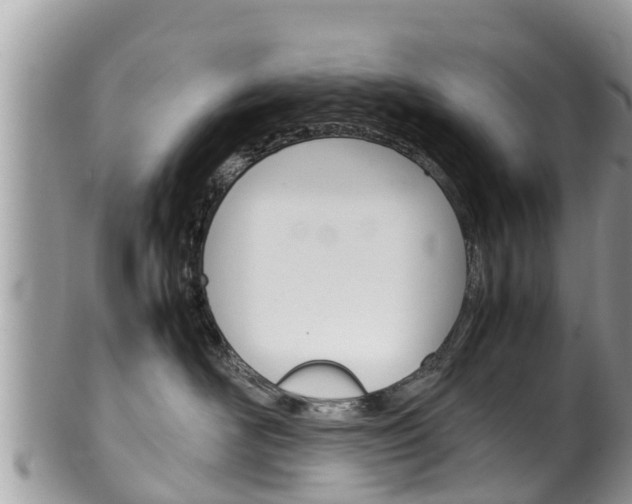 X0000100490526200806130758