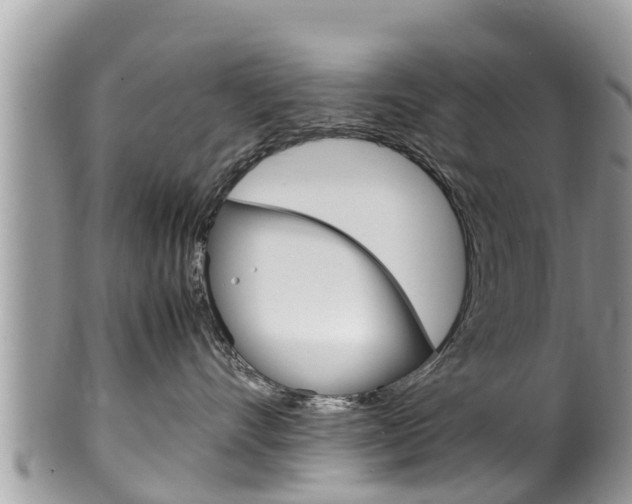 X0000100490528200806130758
