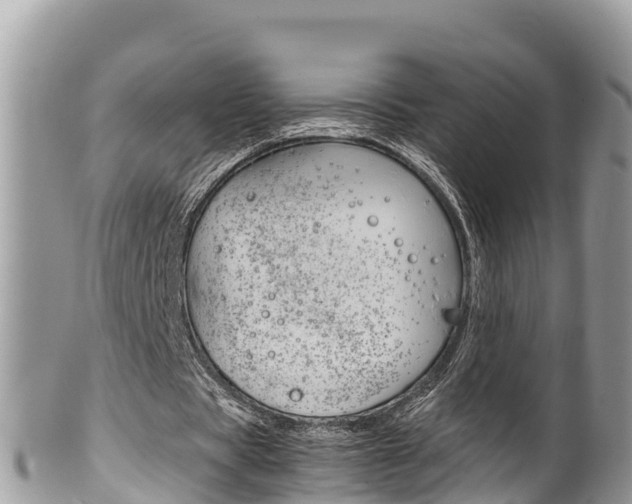 X0000100490529200806130757