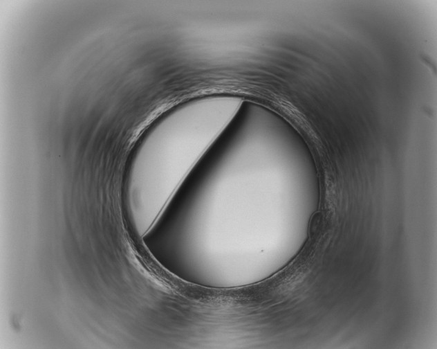 X0000100490530200806130757