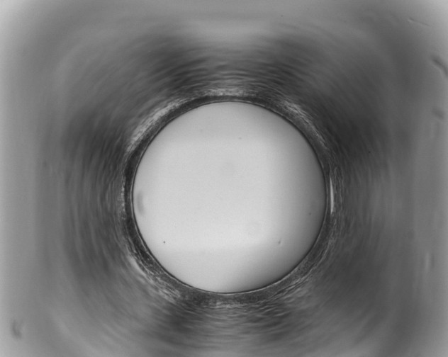 X0000100490531200806130757