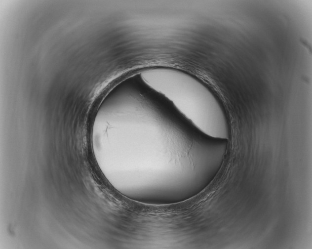X0000100490532200806130757