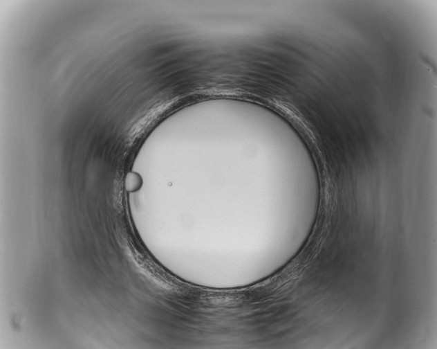 X0000100490533200806130757