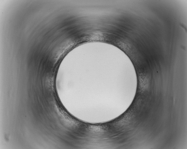 X0000100490534200806130757