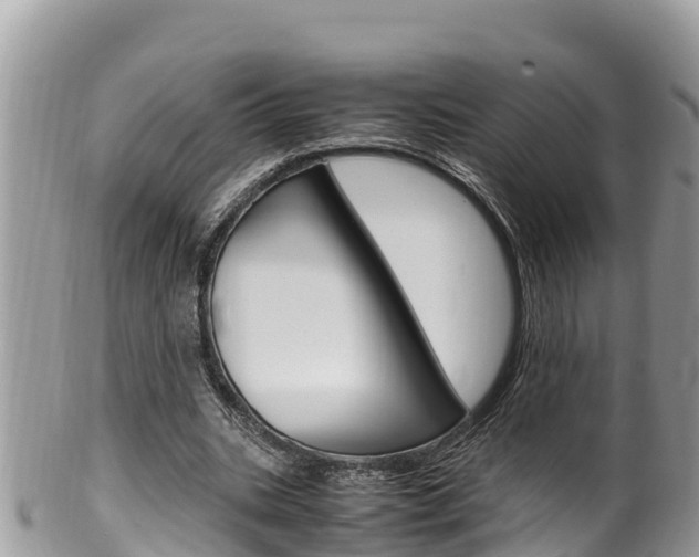 X0000100490535200806130757