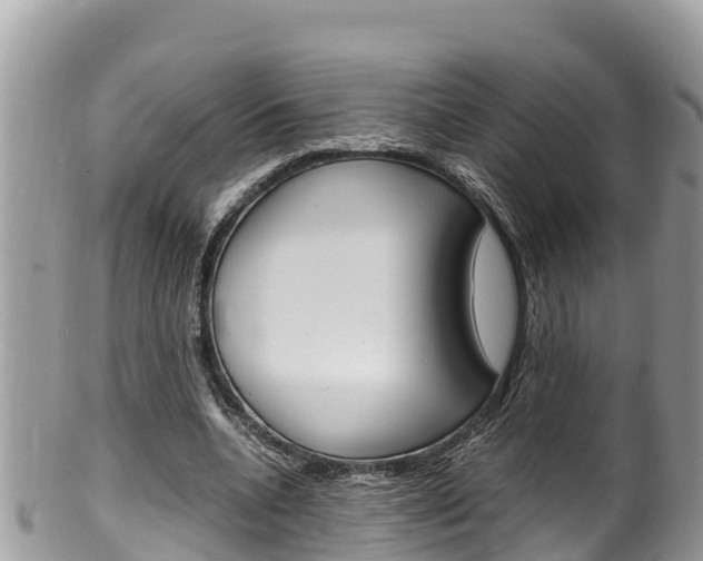X0000100490536200806130757