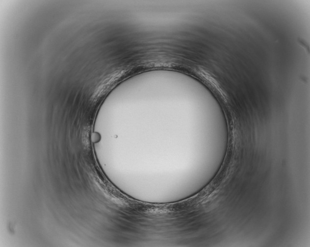 X0000100490537200806130757