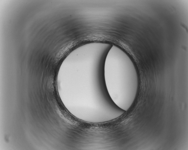 X0000100490538200806130757