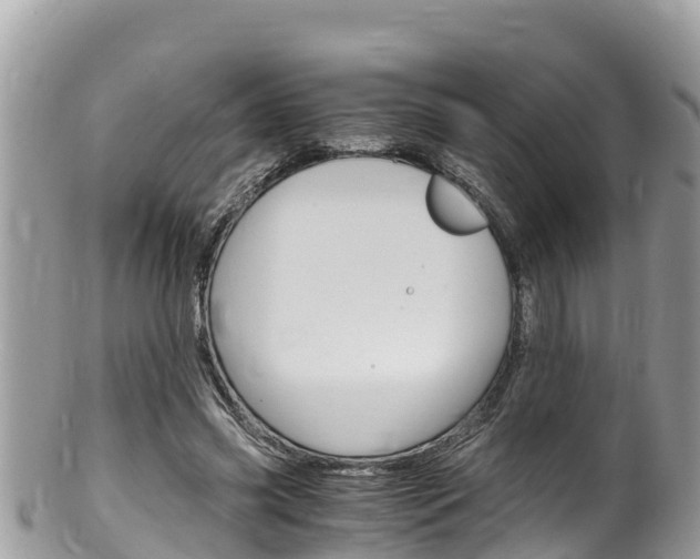 X0000100490541200806130757