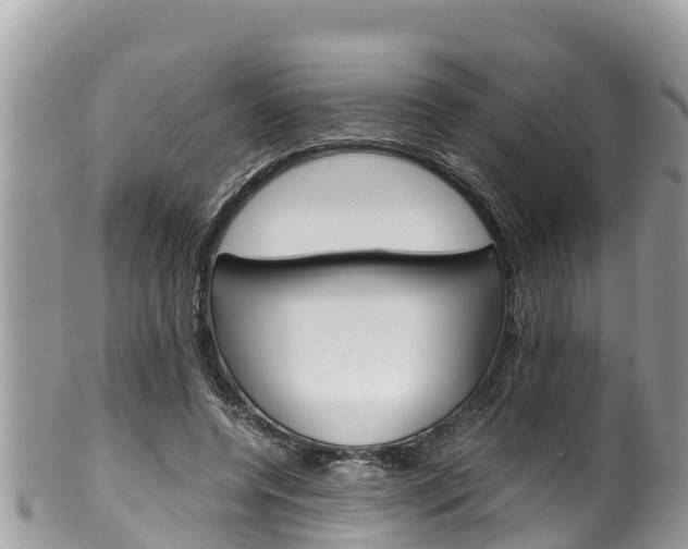 X0000100490544200806130758
